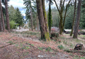3328 Windolph, Olympia, Washington 98502, ,Land,For Sale,Windolph,Windolph,NWM1883700