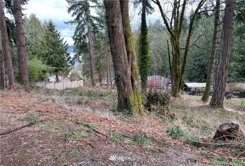 3328 Windolph, Olympia, Washington 98502, ,Land,For Sale,Windolph,Windolph,NWM1883700