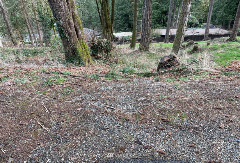 3328 Windolph, Olympia, Washington 98502, ,Land,For Sale,Windolph,Windolph,NWM1883700