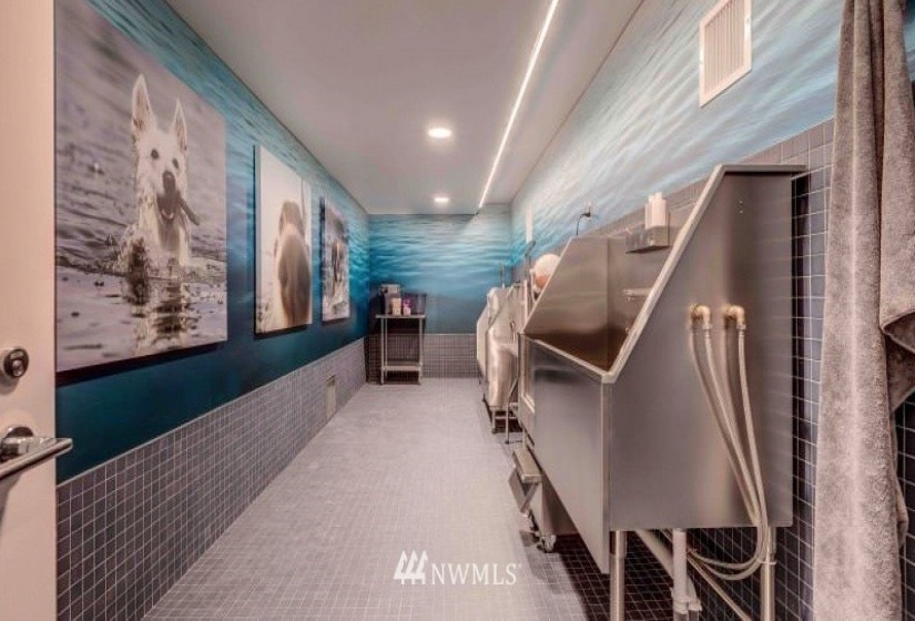 1145 Republican, Seattle, Washington 98109, 2 Bedrooms Bedrooms, ,2 BathroomsBathrooms,Residential Lease,For Rent,Republican,NWM1884024