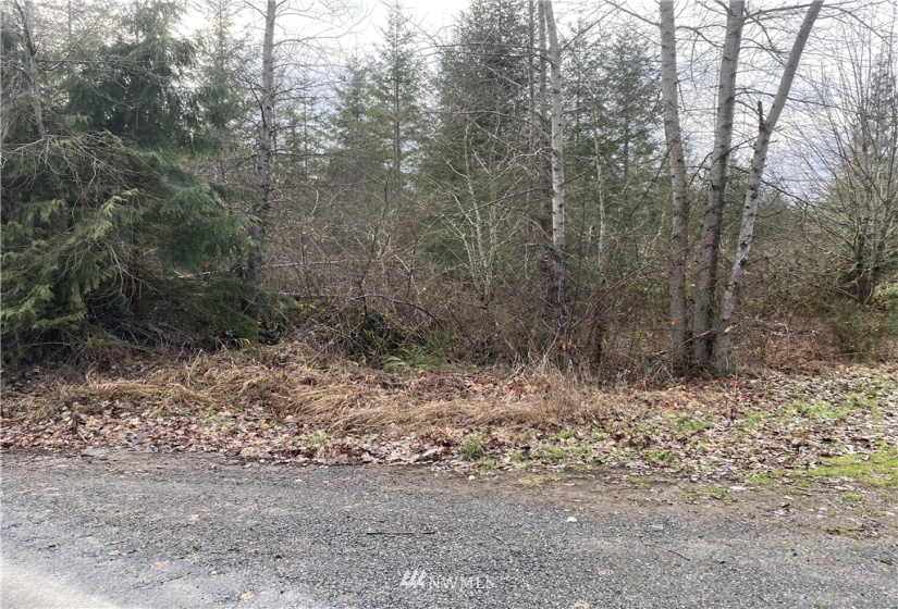 0 XXXX Kinsman, Roy, Washington 98580, ,Land,For Sale,Kinsman,NWM1884072