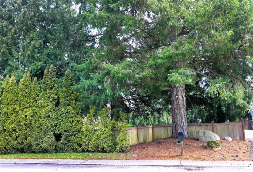 167 xx Vashon Hwy, Vashon, Washington 98070, ,Land,For Sale,Vashon Hwy,NWM1883913