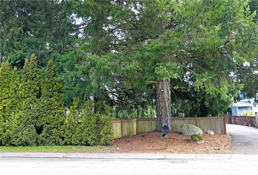 167 xx Vashon Hwy, Vashon, Washington 98070, ,Land,For Sale,Vashon Hwy,NWM1883913