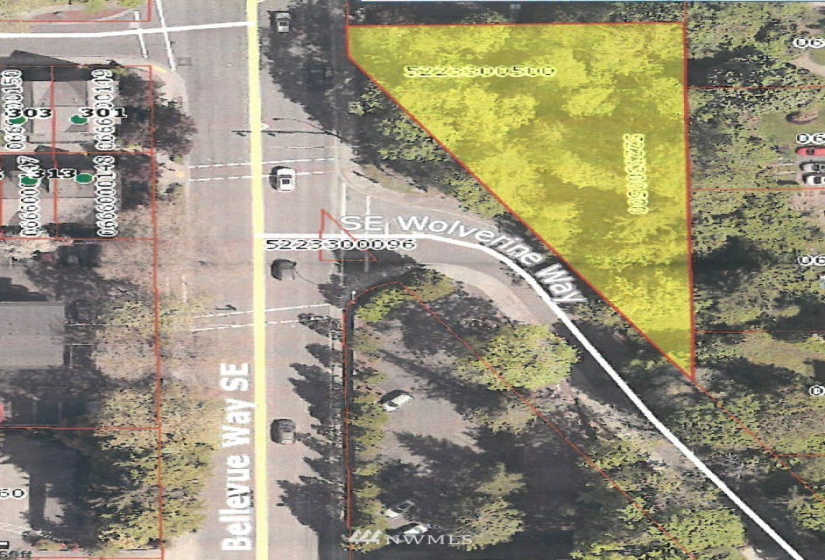 302 Bellevue, Bellevue, Washington 98004, ,Land,For Sale,Bellevue,NWM1883946