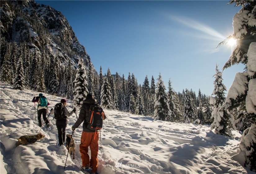 0 Snoqualmie DR, Snoqualmie Pass, Washington 98068, ,Land,For Sale,Snoqualmie DR,NWM1883649