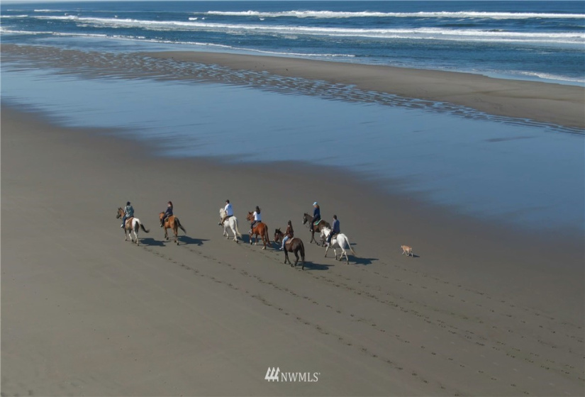 1000 Discovery Drive, Ilwaco, Washington 98624, ,Land,For Sale,Discovery Drive,NWM1815567