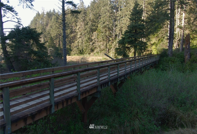 1000 Discovery Drive, Ilwaco, Washington 98624, ,Land,For Sale,Discovery Drive,NWM1815567