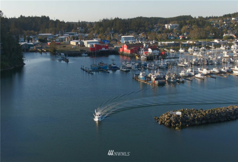 1000 Discovery Drive, Ilwaco, Washington 98624, ,Land,For Sale,Discovery Drive,NWM1815567
