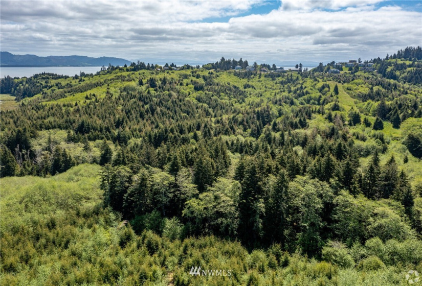 1000 Discovery Drive, Ilwaco, Washington 98624, ,Land,For Sale,Discovery Drive,NWM1815567