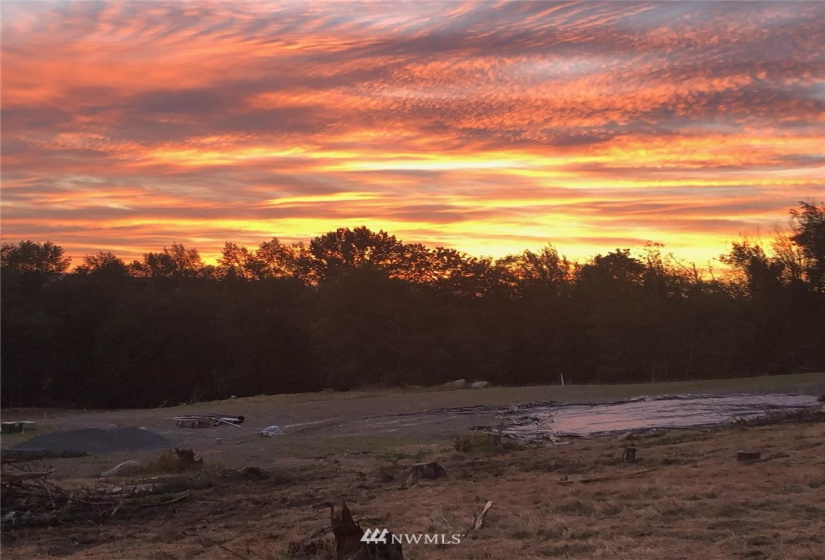 11313 73rd Ave NE (Lot 16), Arlington, Washington 98223, ,Land,For Sale,August Paul Estates,73rd Ave NE (Lot 16),NWM1884213