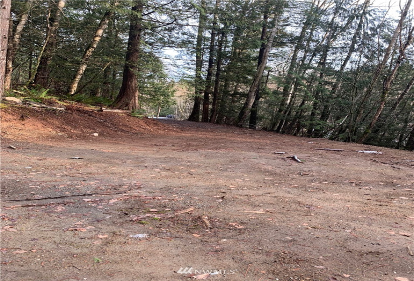 0 Pass, Sumas, Washington 98295, ,Land,For Sale,Pass,NWM1881617