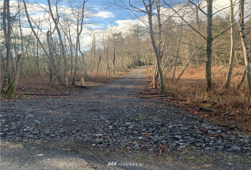 0 Pass, Sumas, Washington 98295, ,Land,For Sale,Pass,NWM1881617