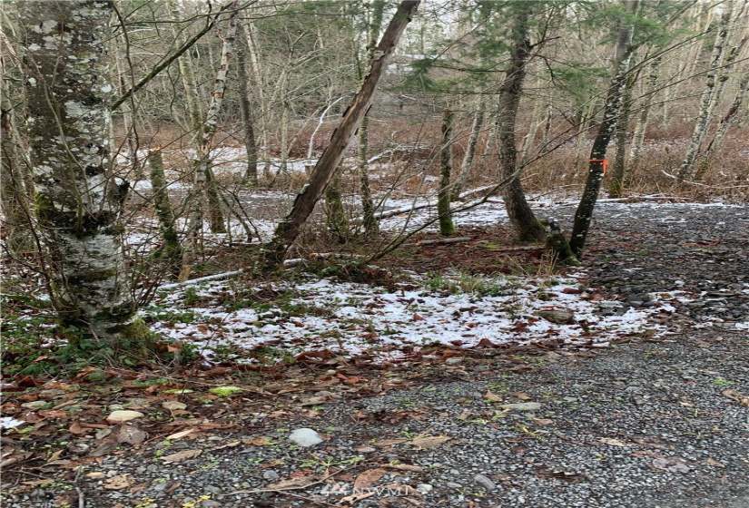 0 Pass, Sumas, Washington 98295, ,Land,For Sale,Pass,NWM1881617