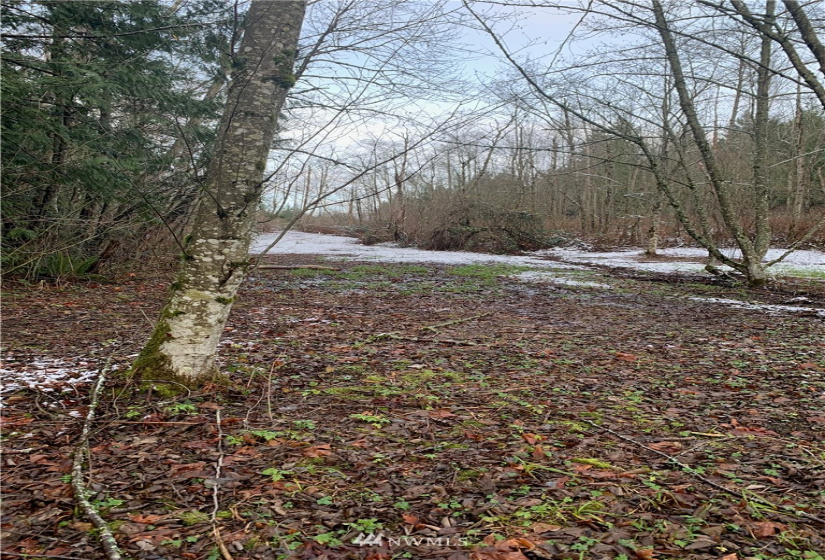 0 Pass, Sumas, Washington 98295, ,Land,For Sale,Pass,NWM1881617