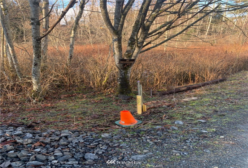 0 Pass, Sumas, Washington 98295, ,Land,For Sale,Pass,NWM1881617