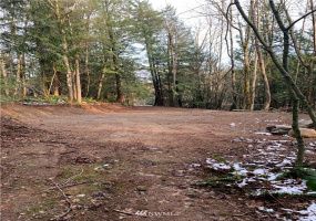 0 Pass, Sumas, Washington 98295, ,Land,For Sale,Pass,NWM1881617