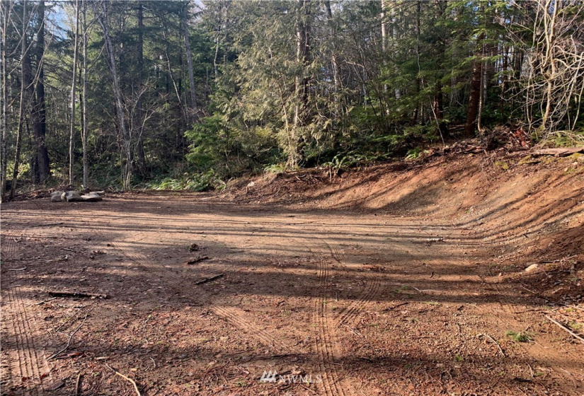 0 Pass, Sumas, Washington 98295, ,Land,For Sale,Pass,NWM1881617