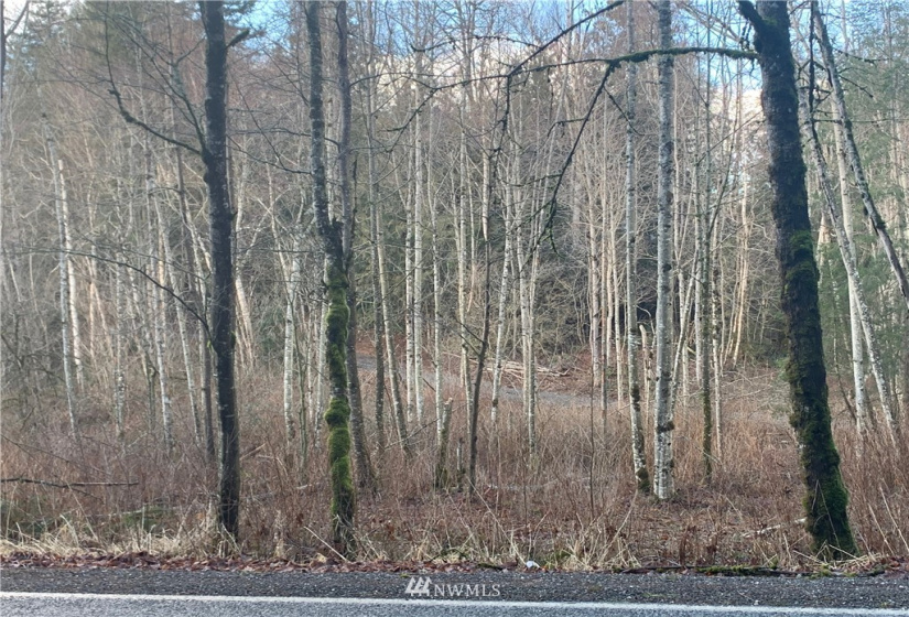 0 Pass, Sumas, Washington 98295, ,Land,For Sale,Pass,NWM1881617