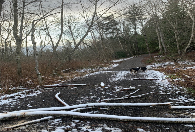 0 Pass, Sumas, Washington 98295, ,Land,For Sale,Pass,NWM1881617