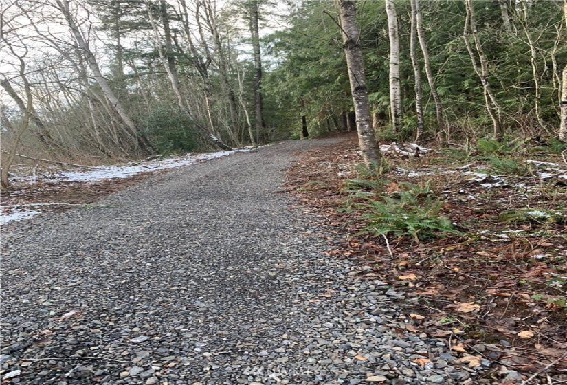 0 Pass, Sumas, Washington 98295, ,Land,For Sale,Pass,NWM1881617