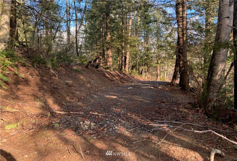 0 Pass, Sumas, Washington 98295, ,Land,For Sale,Pass,NWM1881617