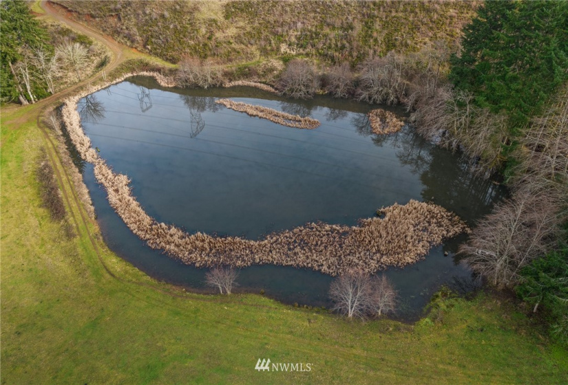 211 8 Guiberson, Winlock, Washington 98596, 4 Bedrooms Bedrooms, ,3 BathroomsBathrooms,Residential,For Sale,Guiberson,NWM1880398