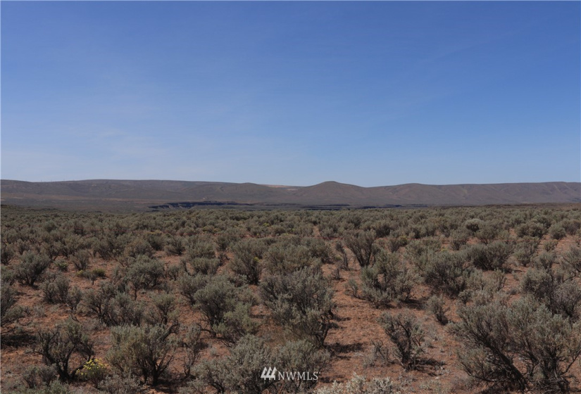 0 Singletree Drive, Palisades, Washington 98845, ,Land,For Sale,Rimrock Meadows #5,Singletree Drive,NWM1883416