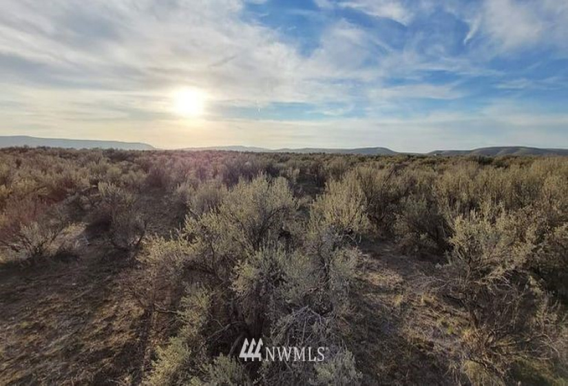 0 Singletree Drive, Palisades, Washington 98845, ,Land,For Sale,Rimrock Meadows #5,Singletree Drive,NWM1883416