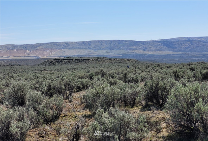 0 Singletree Drive, Palisades, Washington 98845, ,Land,For Sale,Rimrock Meadows #5,Singletree Drive,NWM1883416