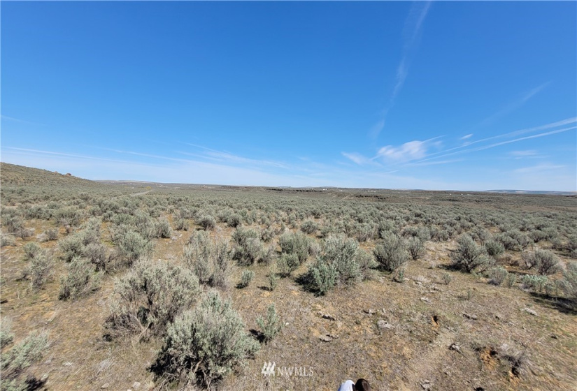 0 Singletree Drive, Palisades, Washington 98845, ,Land,For Sale,Rimrock Meadows #5,Singletree Drive,NWM1883416