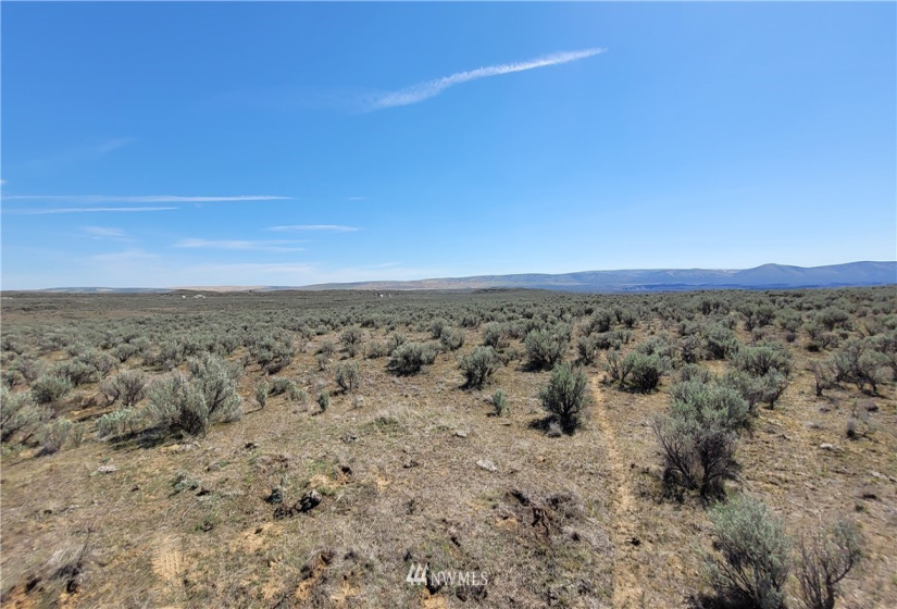 0 Singletree Drive, Palisades, Washington 98845, ,Land,For Sale,Rimrock Meadows #5,Singletree Drive,NWM1883416