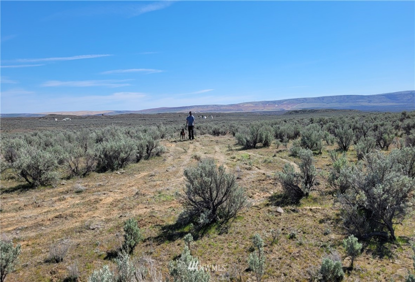 0 Singletree Drive, Palisades, Washington 98845, ,Land,For Sale,Rimrock Meadows #5,Singletree Drive,NWM1883416