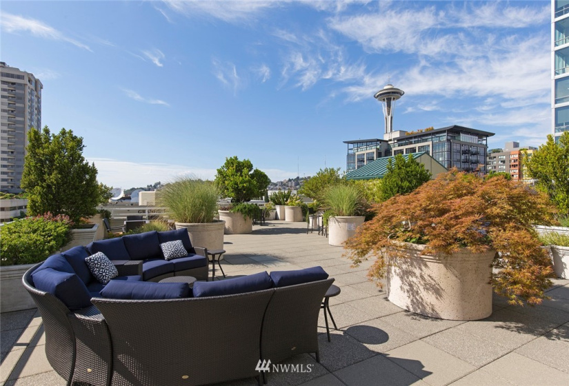 2600 2nd, Seattle, Washington 98121, 3 Bedrooms Bedrooms, ,2 BathroomsBathrooms,Residential,For Sale,Seattle Heights,2nd,NWM1881397