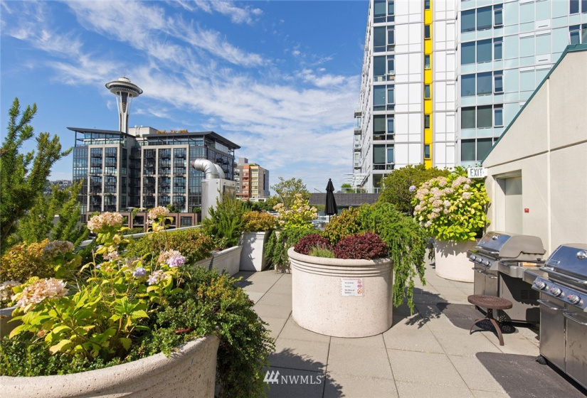 2600 2nd, Seattle, Washington 98121, 3 Bedrooms Bedrooms, ,2 BathroomsBathrooms,Residential,For Sale,Seattle Heights,2nd,NWM1881397