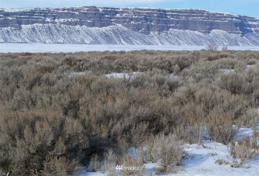 38972 HWY 155, Coulee City, Washington 99115, ,Land,For Sale,HWY 155,NWM1883923