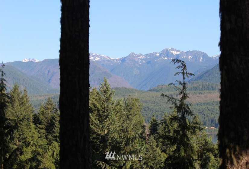 24882 Holly View, Seabeck, Washington 98380, ,Land,For Sale,Holly View,NWM1883996