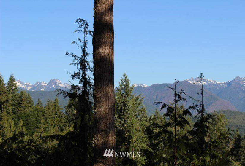 24882 Holly View, Seabeck, Washington 98380, ,Land,For Sale,Holly View,NWM1883996