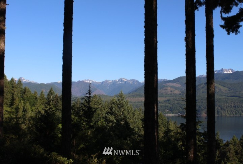 24882 Holly View, Seabeck, Washington 98380, ,Land,For Sale,Holly View,NWM1883996