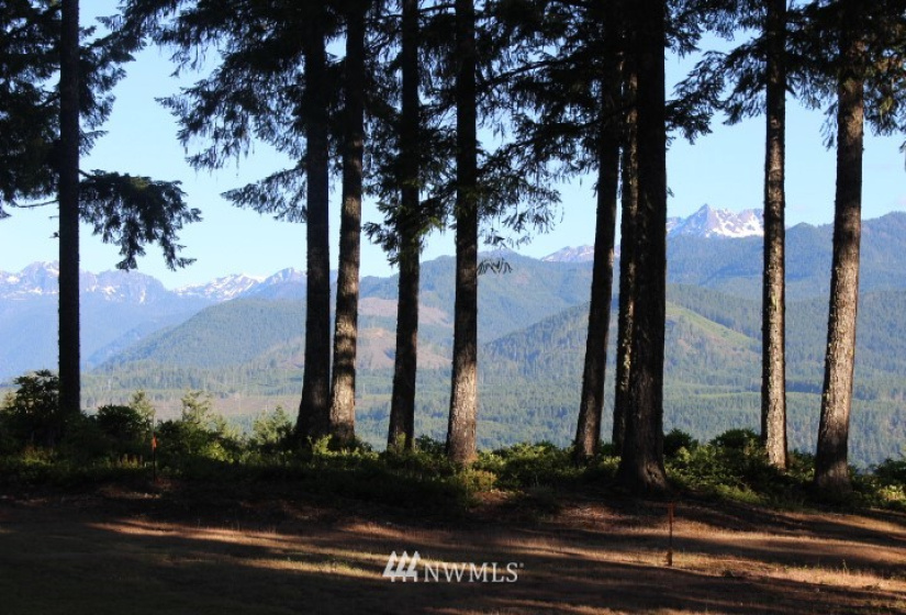 24882 Holly View, Seabeck, Washington 98380, ,Land,For Sale,Holly View,NWM1883996