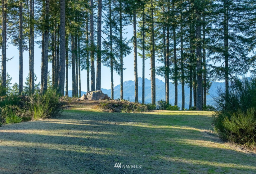 24882 Holly View, Seabeck, Washington 98380, ,Land,For Sale,Holly View,NWM1883996