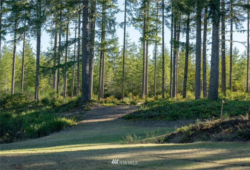 24882 Holly View, Seabeck, Washington 98380, ,Land,For Sale,Holly View,NWM1883996