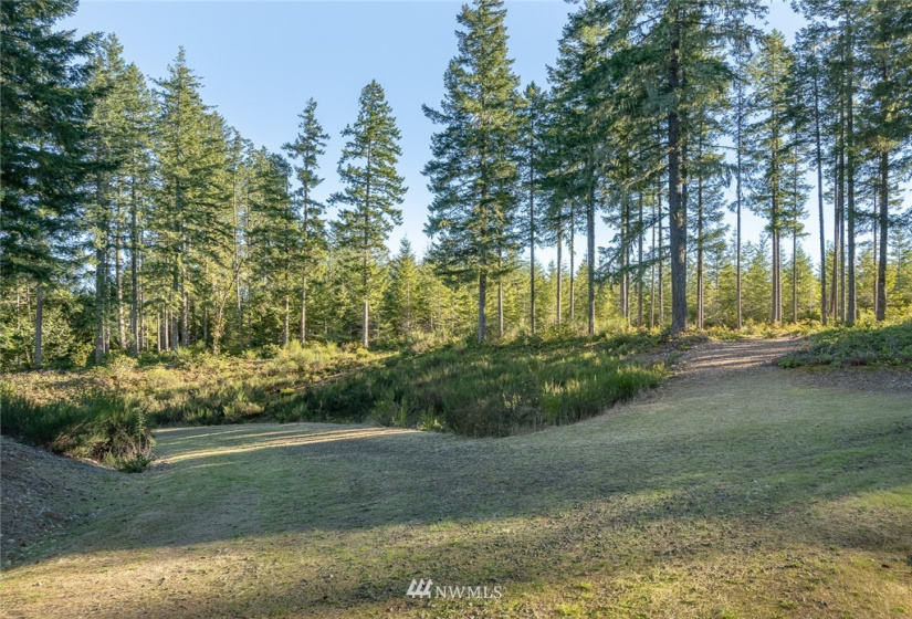 24882 Holly View, Seabeck, Washington 98380, ,Land,For Sale,Holly View,NWM1883996
