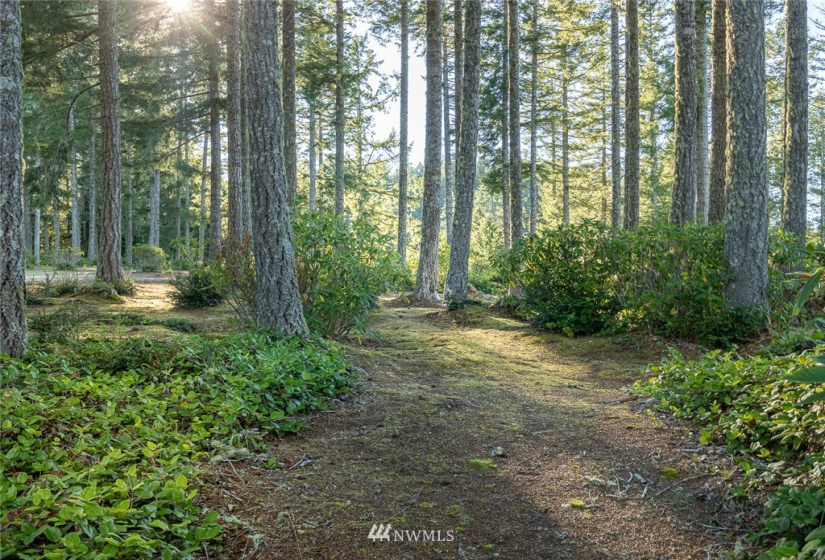 24882 Holly View, Seabeck, Washington 98380, ,Land,For Sale,Holly View,NWM1883996