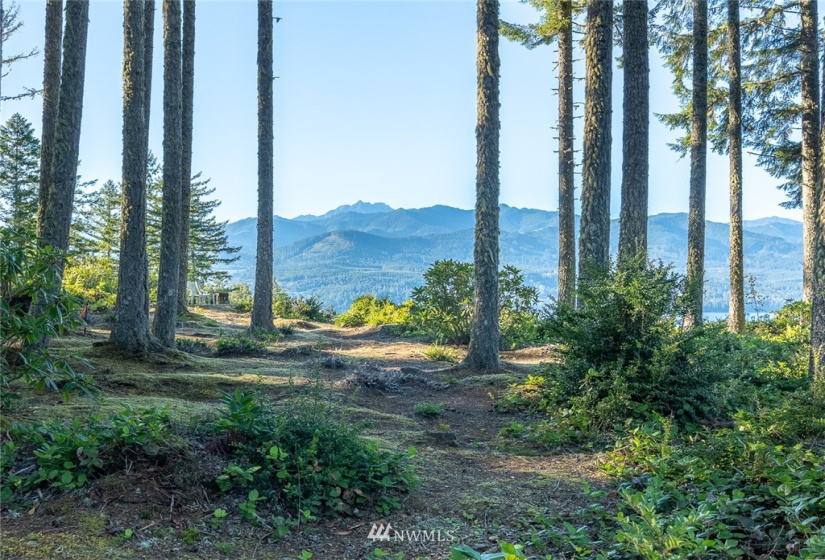 24882 Holly View, Seabeck, Washington 98380, ,Land,For Sale,Holly View,NWM1883996