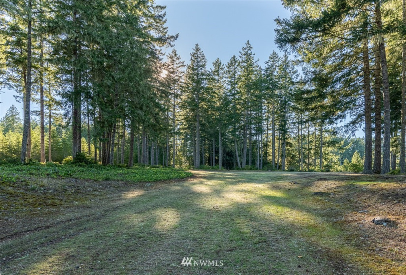 24882 Holly View, Seabeck, Washington 98380, ,Land,For Sale,Holly View,NWM1883996