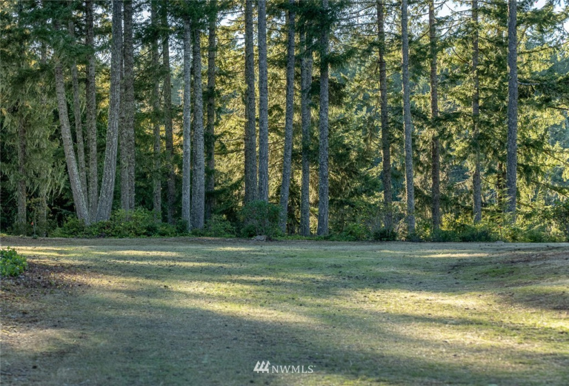 24882 Holly View, Seabeck, Washington 98380, ,Land,For Sale,Holly View,NWM1883996