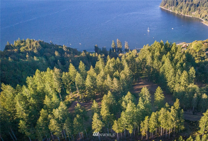 24882 Holly View, Seabeck, Washington 98380, ,Land,For Sale,Holly View,NWM1883996