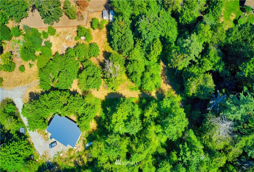 1885 Province, Point Roberts, Washington 98281, ,Land,For Sale,Ridgeview Estates Short Plat,Province,NWM1883859