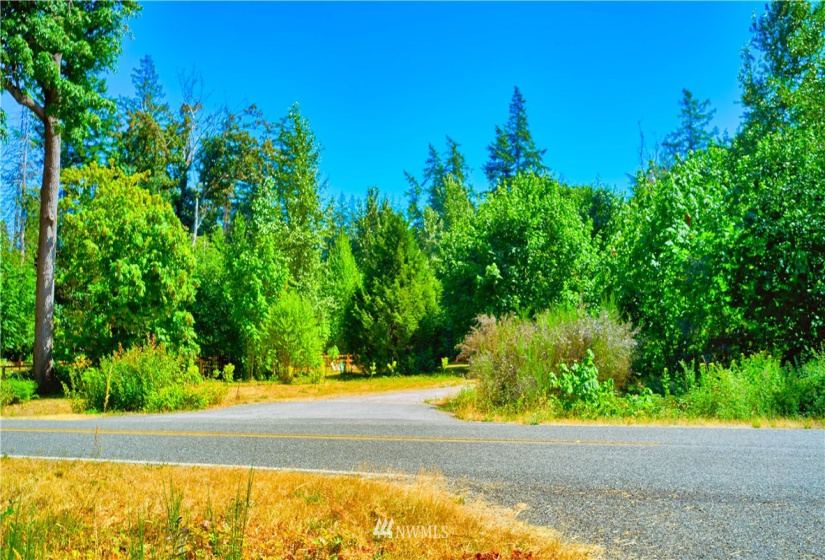 1885 Province, Point Roberts, Washington 98281, ,Land,For Sale,Ridgeview Estates Short Plat,Province,NWM1883859