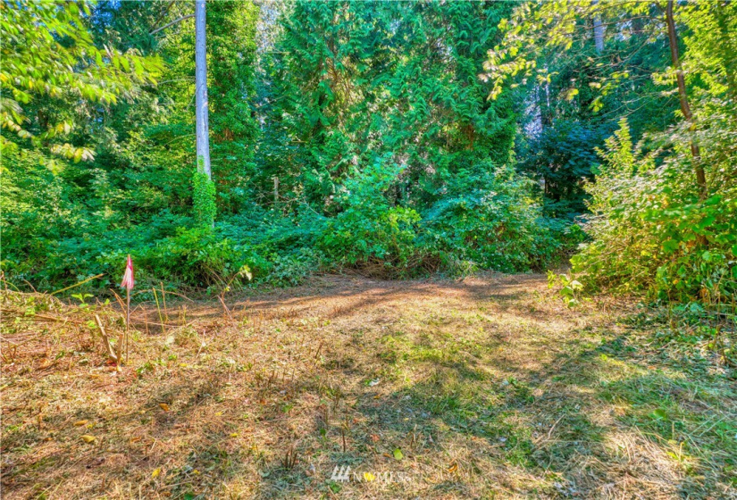 1885 Province, Point Roberts, Washington 98281, ,Land,For Sale,Ridgeview Estates Short Plat,Province,NWM1883859